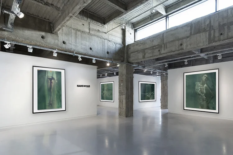 Virtual Gallery — In the Room