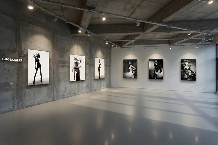 Virtual Gallery — In the Room
